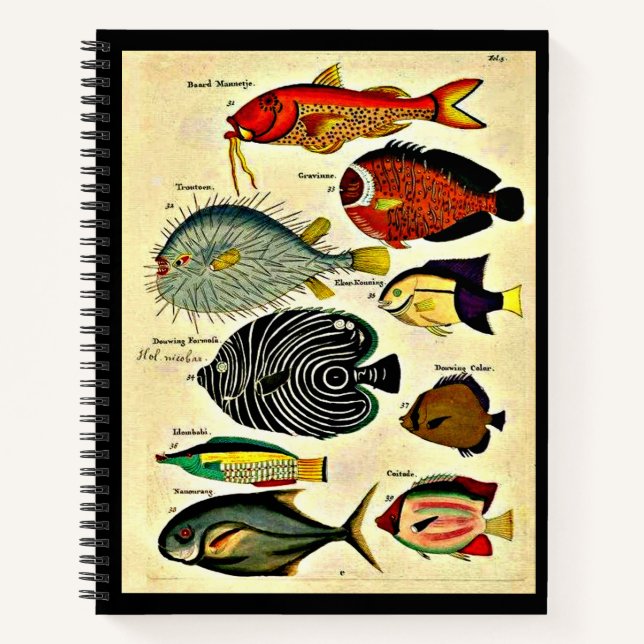  fish print notebook (Front)