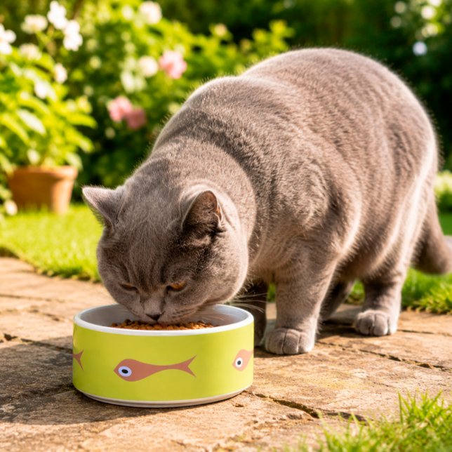 Fish Purple Eyes Cat Bowl Funny Pet Feeding Dish (Creator Uploaded)