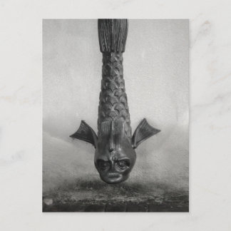 Fish Rain Spout in Savannah, Ga. Postcard