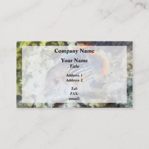 Fish - Rainbowfish Business Card