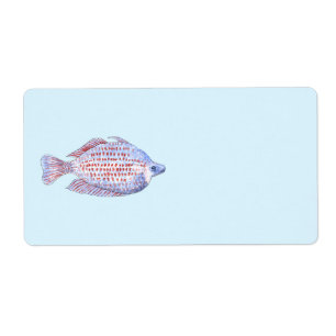 Fish. Red Line Rainbowfish.