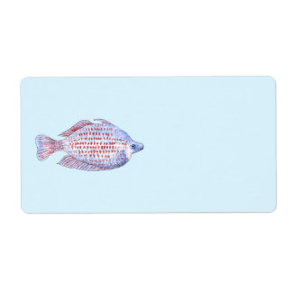 Fish. Red Line Rainbowfish.