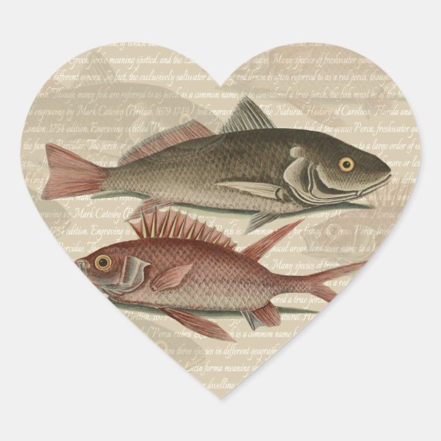Fish Red Perch Fisherman Art Heart Sticker (Front)