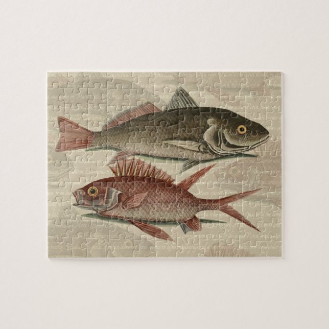Fish Red Perch Fisherman Art Jigsaw Puzzle (Horizontal)