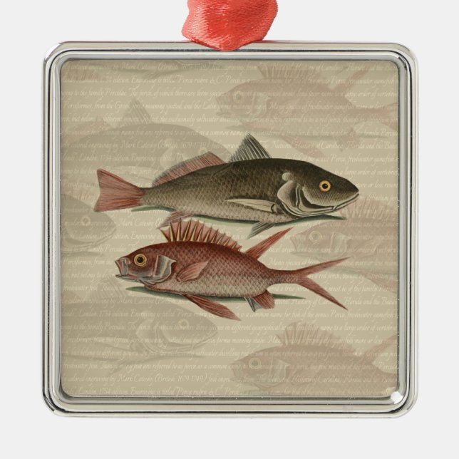 Fish Red Perch Fisherman Art Metal Tree Decoration (Front)