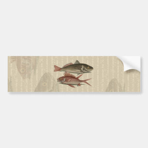 fish red perch Vintage fisherman gift Bumper Sticker