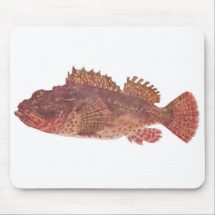 Fish - Red Rock Cod - Scorpaena cardinalis Mouse Mat