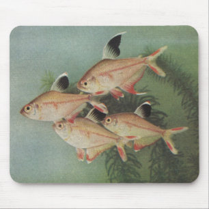 Fish - Rosy Tetra - Hyphessobrycon rosaceus Mouse Mat