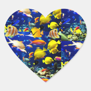 fish sea heart sticker