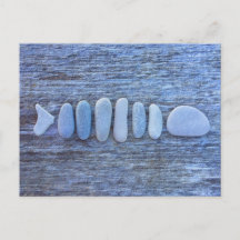 Fish Shaped Rock Art