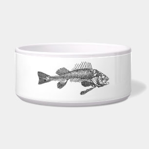 Fish skeleton
