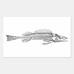 Fish Skeleton Logo Rectangular Sticker
