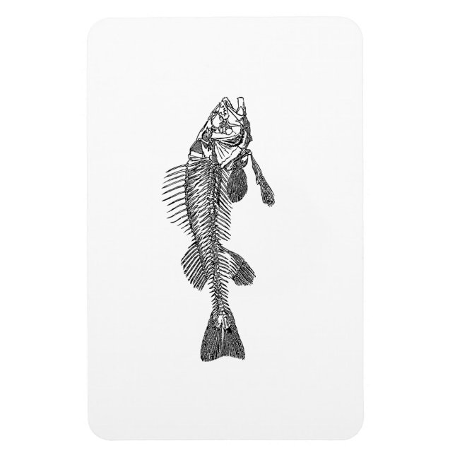 Fish skeleton magnet (Vertical)