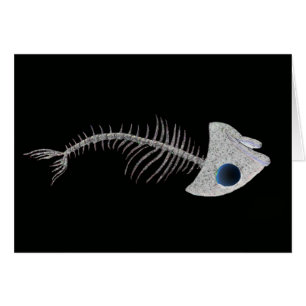 Fish Skeleton on Black