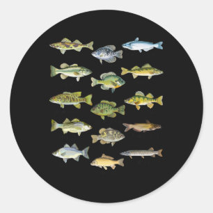 Fish Species Biology Types Of Freshwater Fish Fish Classic Round Sticker