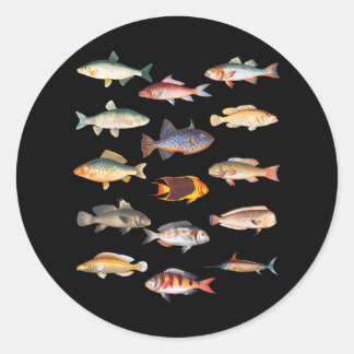 Fish Species Biology Types Of Freshwater Fishing Classic Round Sticker