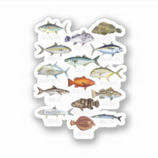 Fish Species Biology Types Of Saltwater Fish Fishi