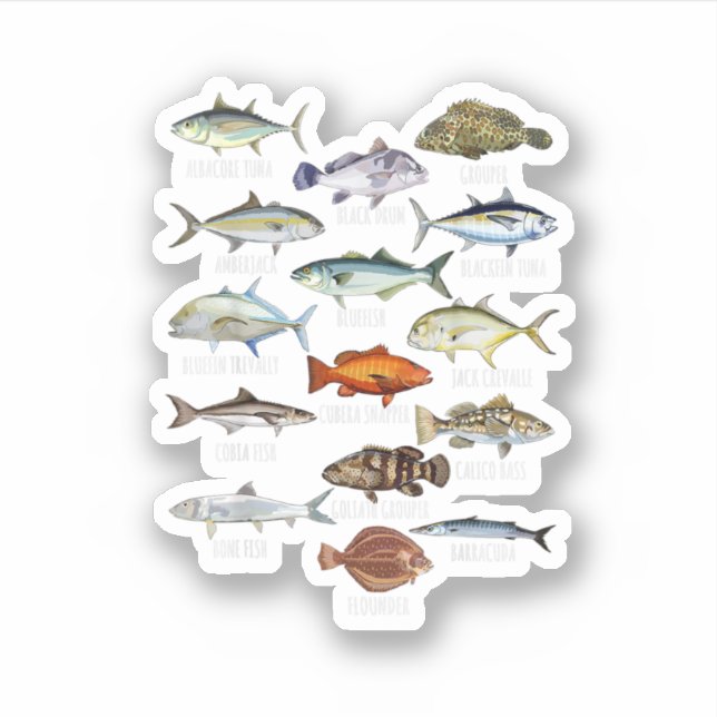 Fish Species Biology Types Of Saltwater Fish Fishi (Front)