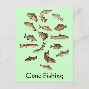 Fish Species "Gone Fishing" Postcard