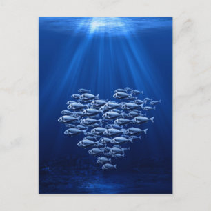 fish swarm under water heart postcard