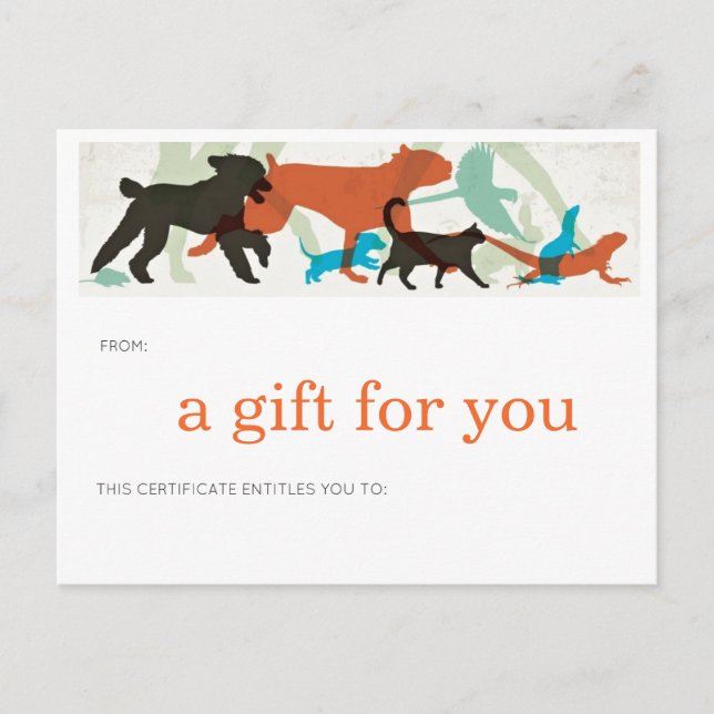 Fish Swim Birds Fly Dogs Walk Pet Sitter  Postcard (Front)