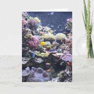 Fish Tank Card