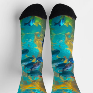 Fish Tank Socks