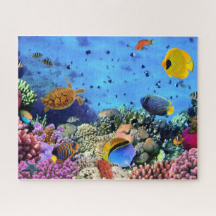 Fish & turtle under the sea Puzzle