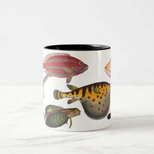 Fish Two-Tone Coffee Mug