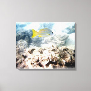 Fish Underwater Canvas Print