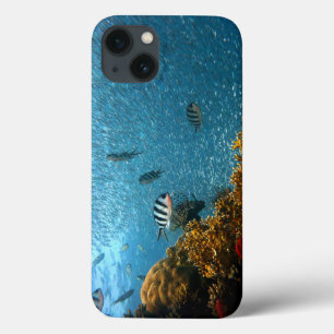 Fish, Underwater, Corals iPhone 13 Case