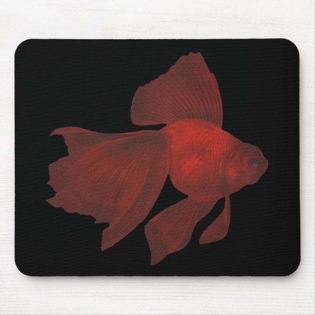Fish - Veiltail Goldfish - Carassius auratus Mouse Mat (Front)