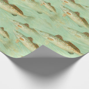 Fish vintage colour illustration pattern wrapping paper