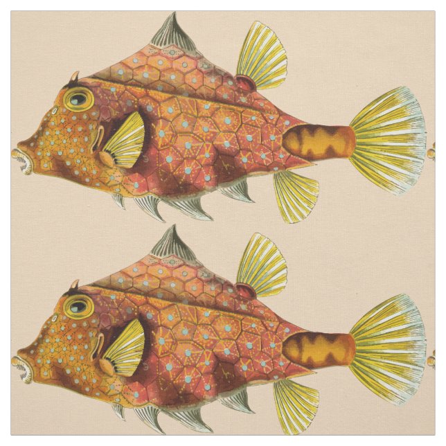 fish wrap print fabric (Swatch)
