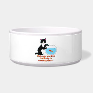 Fishbowl Cat