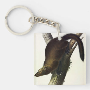 Fisher (Pennant's Marten or Cat Fisher) by Audubon Key Ring