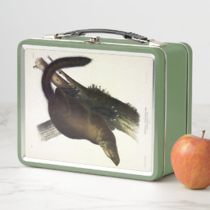 Fisher (Pennant's Marten or Cat Fisher) by Audubon Metal Lunch Box