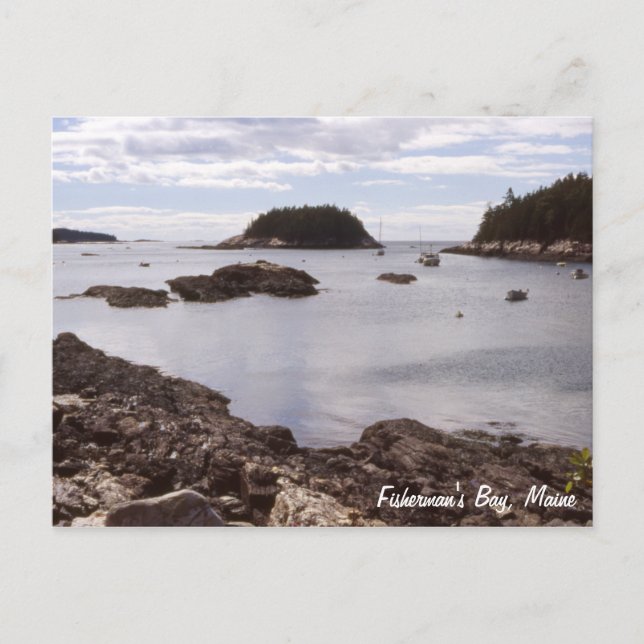 Fisherman's Bay Maine Postcard (Front)