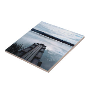 Fisherman's bridge of the Dnieper river with reeds Tile