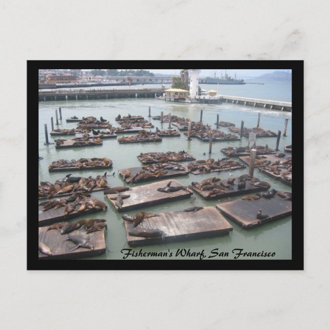 fisherman's wharf postcard (Front)