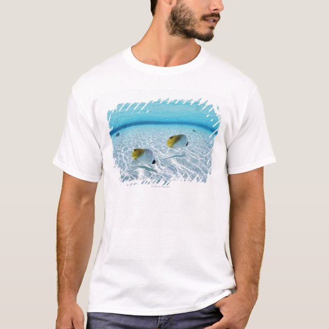 Fishes at Sea T-Shirt (Front)