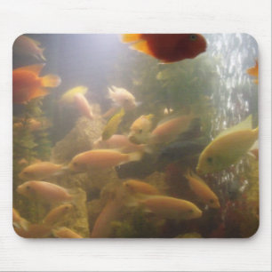 Fishes in a fish Tank Mousepad