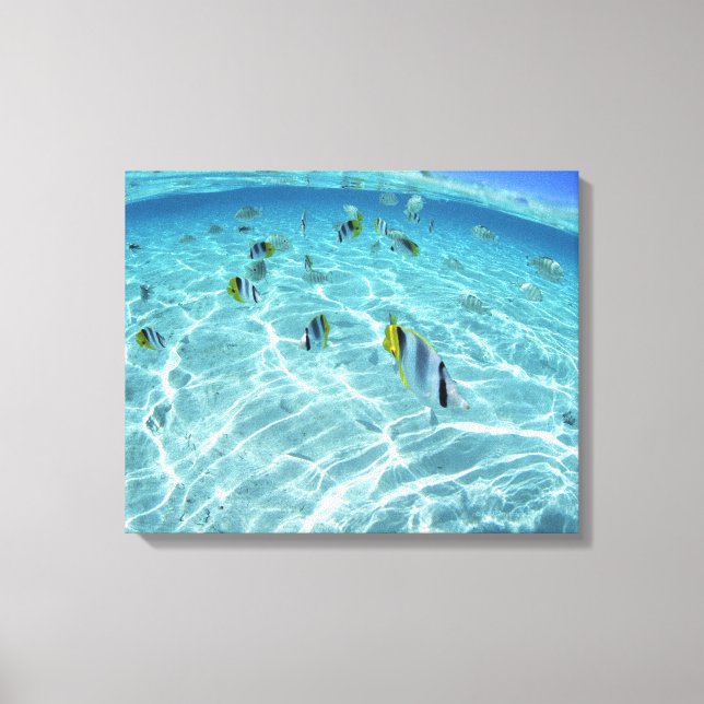 Fishes in the sea 2 canvas print (Front)