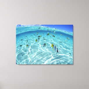 Fishes in the sea 2 canvas print