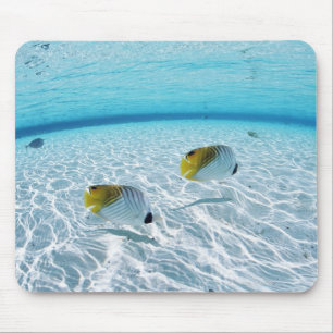 Fishes in the sea 2 mouse mat