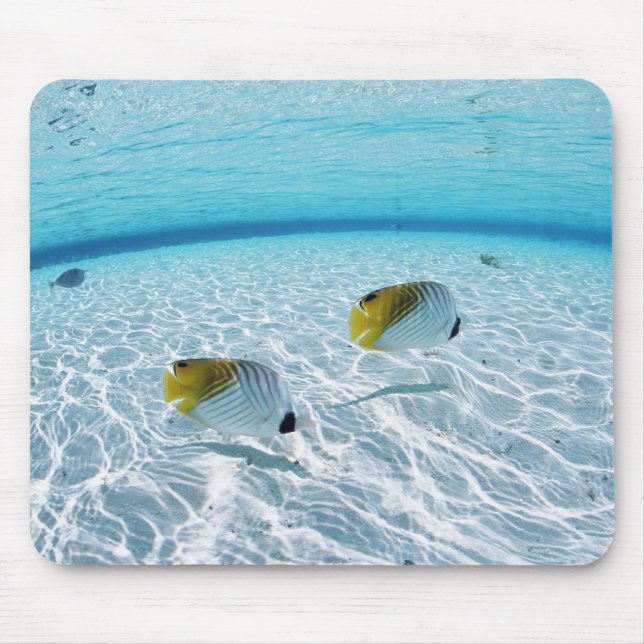 Fishes in the sea 2 mouse mat (Front)