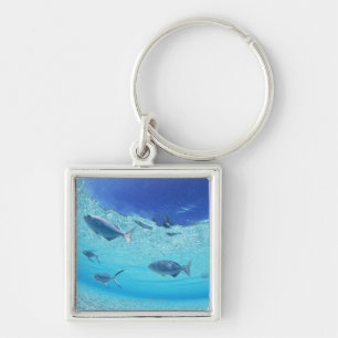 Fishes in the sea 4 key ring