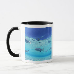 Fishes in the sea 4 mug