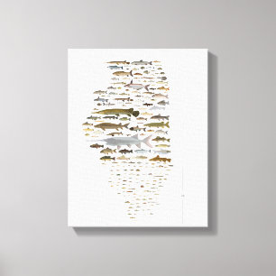 Fishes of Illinois Poster Canvas Print