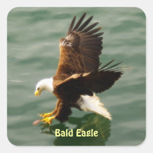 Fishing Bald Eagle Motivational Sticker Set